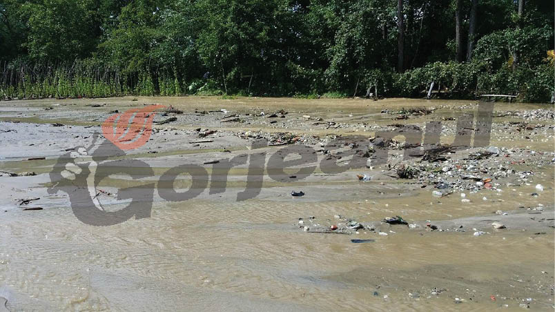 Culturi de căpşuni din Polovragi, măturate de ape