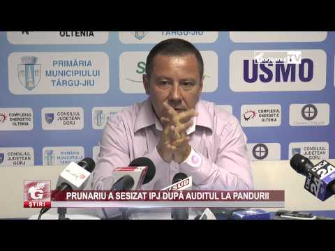 PRUNARIU A SESIZAT IPJ DUPĂ AUDITUL LA PANDURII