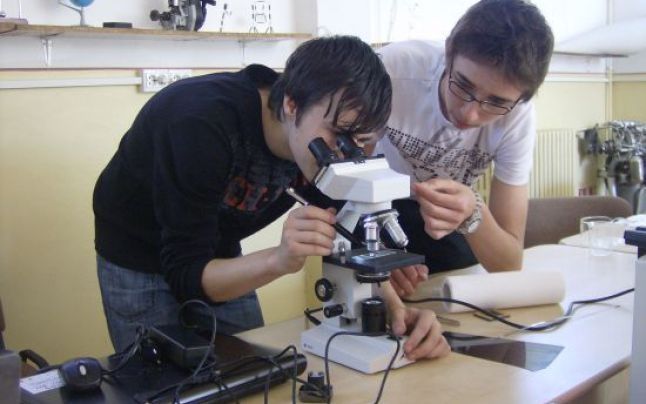 Trei elevi gorjeni, la Olimpiada Naţională de Ştiinţe pentru Juniori