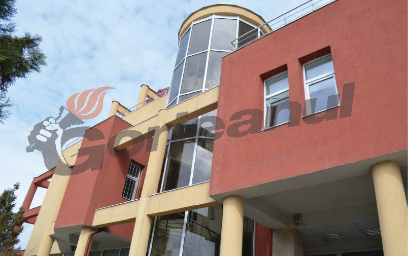 CEO, în topul companiilor naţionale