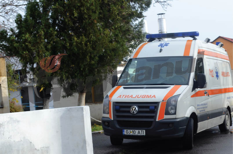 A încercat să evite un câine şi a intrat cu maşina în gard