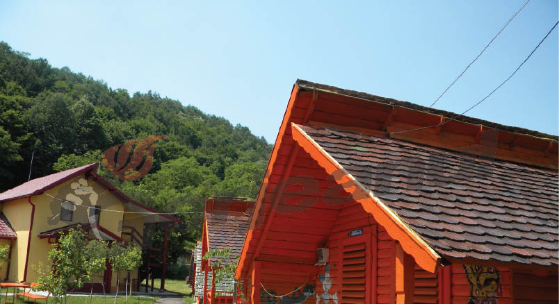 DSV Gorj a verificat taberele de la Tismana, Săcelu, Bâltișoara şi Rânca