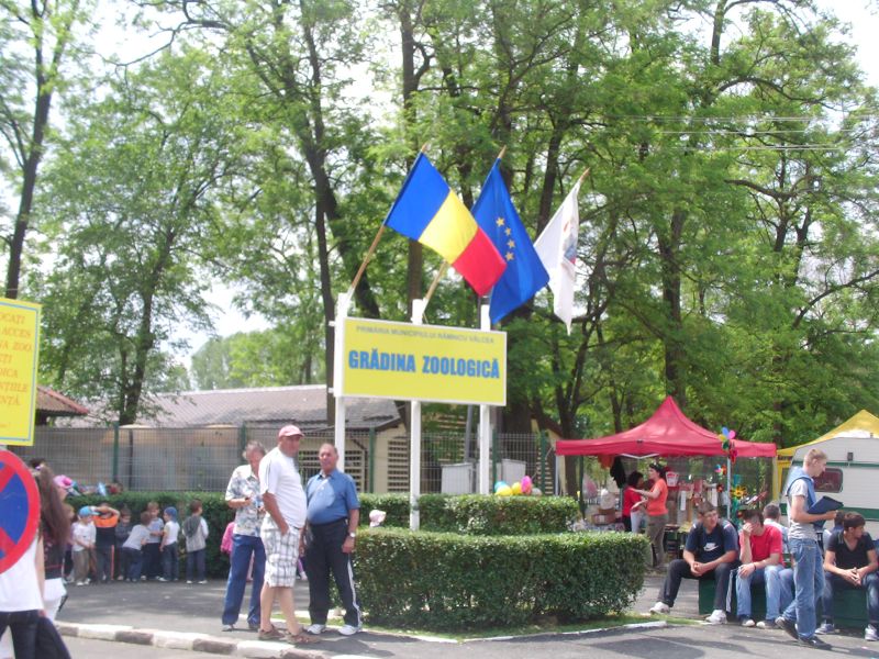 Excursii pentru copiii instituţionalizaţi