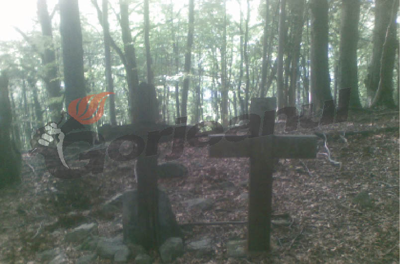 Cranii şi cartuşe austriece, în pădurea de la Stăneşti