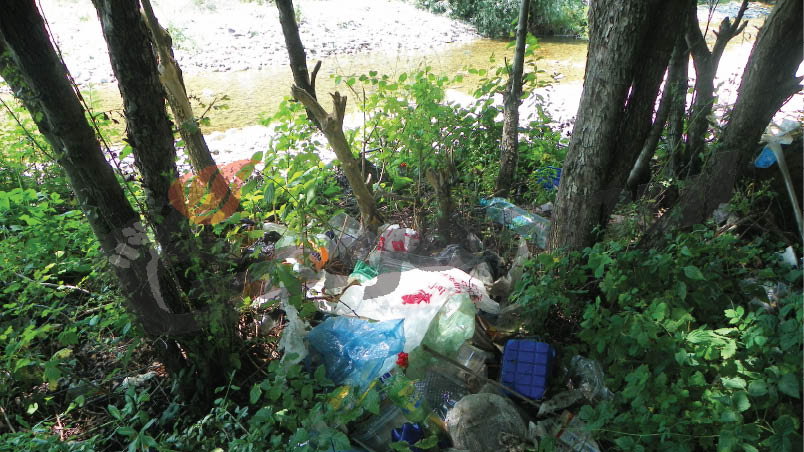 Observatorul estival – Autodisciplina, singura soluţie?