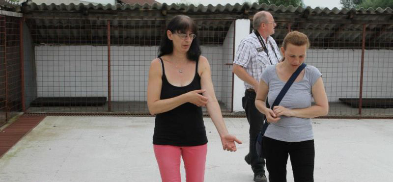 1620752_874652315895626_9173277308291275163_n