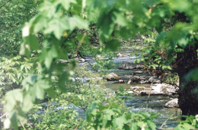 Defileul Jiului- o minune a naturii