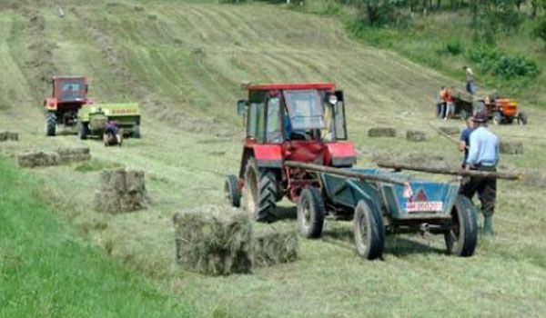 Agricultura montană din Gorj, susţinută din fonduri UE