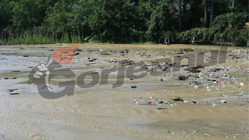 Culturile calamitate, raportate în maxim 10 zile la APIA Gorj