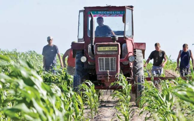 Facturile pentru motorina utilizată în agricultură se decontează