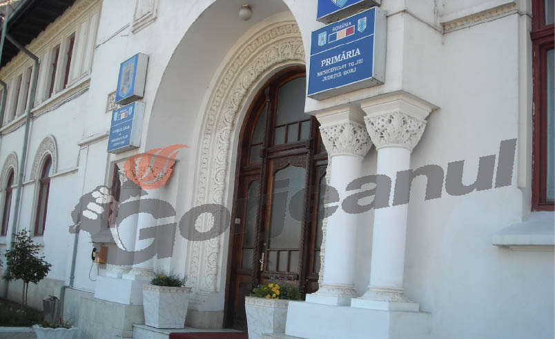 Consilieri juridici pentru Direcţia de Patrimoniu şi Primăria Târgu-Jiu