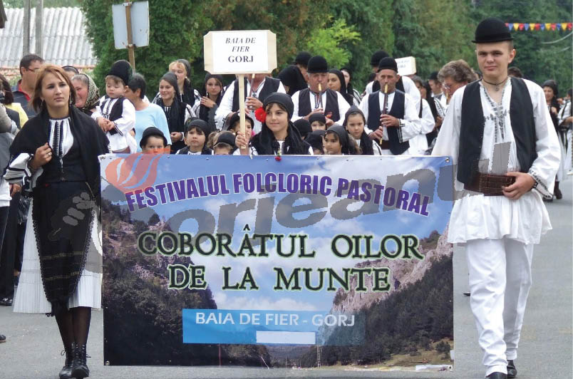 La cumpănă de răpciune – Oile coboară de la munte