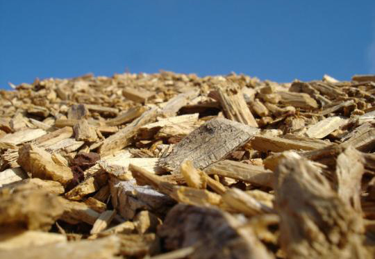 Biomasă lemnoasă din Gorj pentru o centrală din Horezu