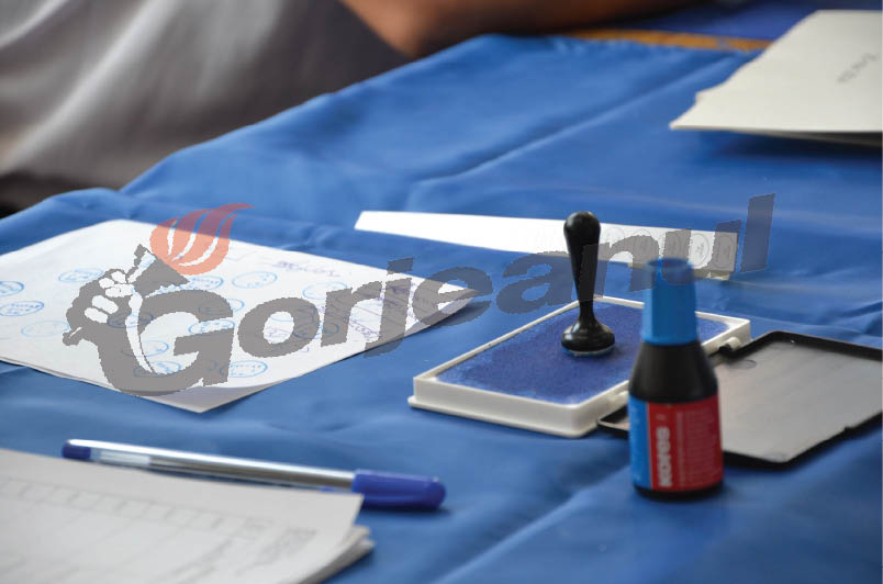 Primarii gorjeni, instruiţi pentru prezidenţiale