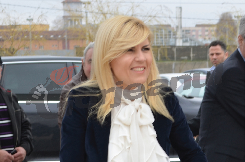 Udrea a mai bifat o „electorală” la Novaci