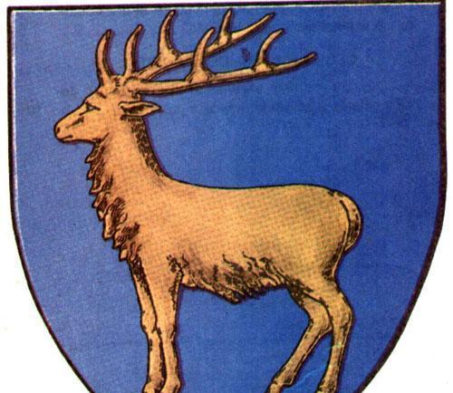 Şedinţă Festivă la Consiliul Judeţean Gorj