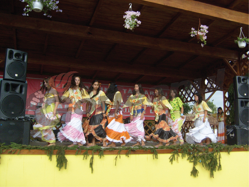 Festival naţional de muzică, tradiţii, obiceiuri şi meşteşuguri, la Ţînţăreni