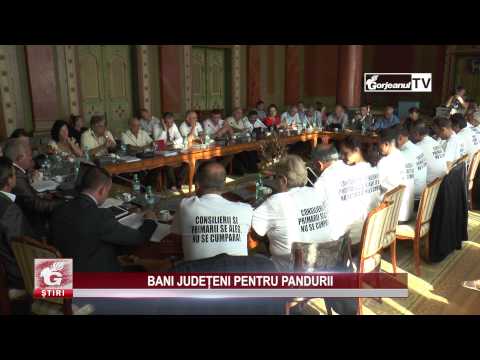 BANI JUDEȚENI PENTRU PANDURII