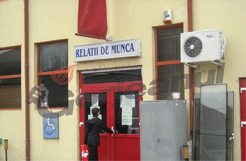 Amenzi de 100.000 de lei pentru firmele din Gorj