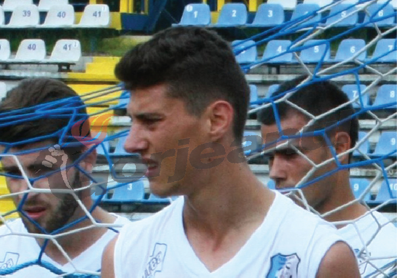 Pîrvulescu a cedat și a plecat