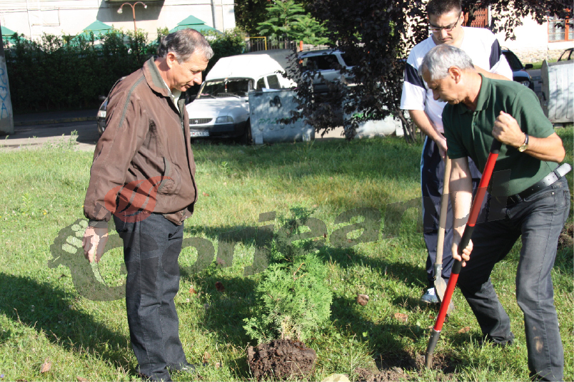 17 arbuşti, plantaţi de angajaţii APM