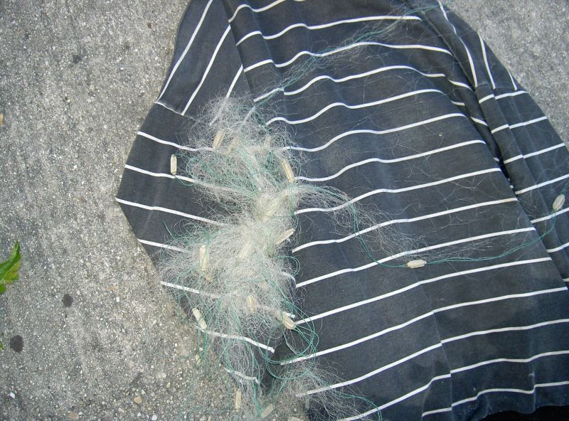 Prins cu setca pe lac