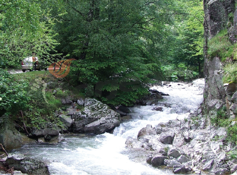 Borzii lui Oană – o peşteră încă neînvinsă