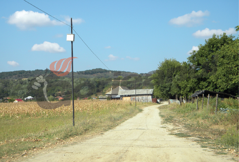 Peste 31 milioane de euro ajung la fermierii din Gorj