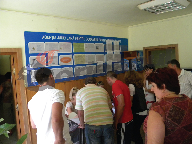 Pentru şomerii gorjeni / Sute de locuri de muncă în ţările UE