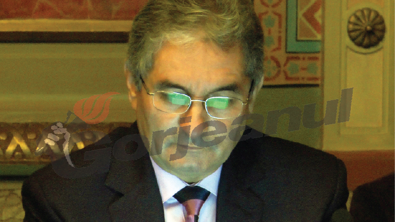 Problema „Cilibiu”, pe ordinea de zi a primului BPJ al PDL Gorj