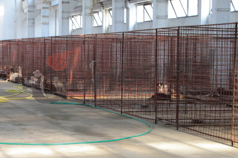 Câinii fără stăpân din Gorj, monitorizaţi de autorităţi