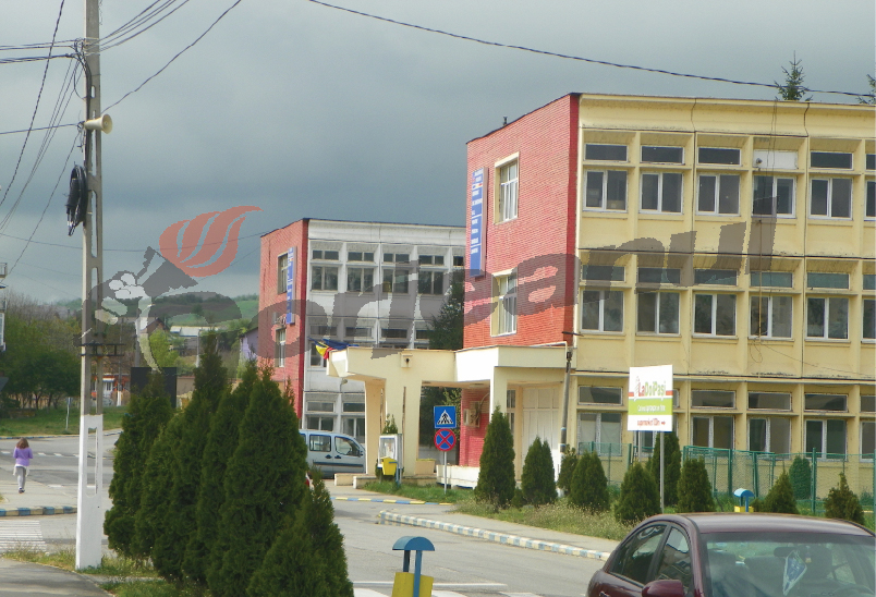 Accidentată din neatenție