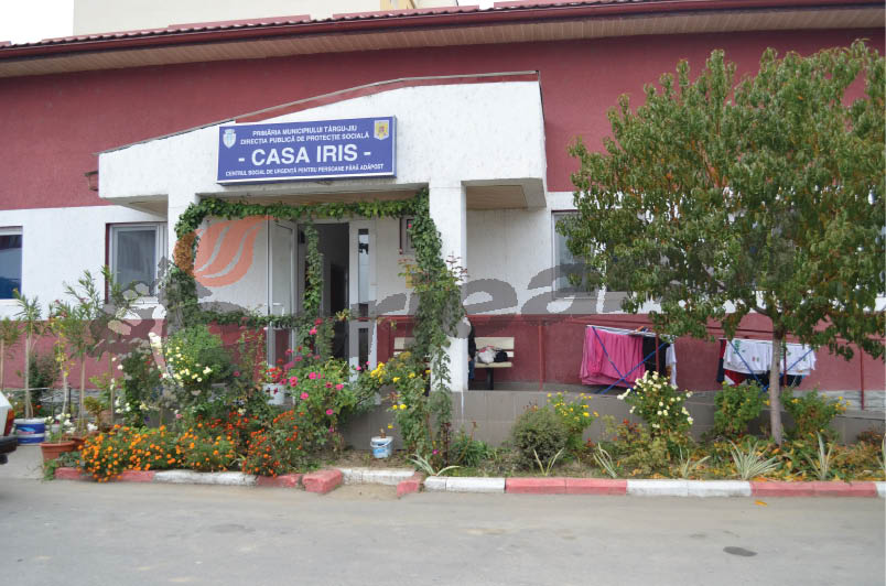 casa iris bun