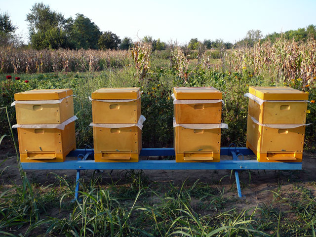 Ajutoare de minimis de peste 4 miliarde pentru gorjeni