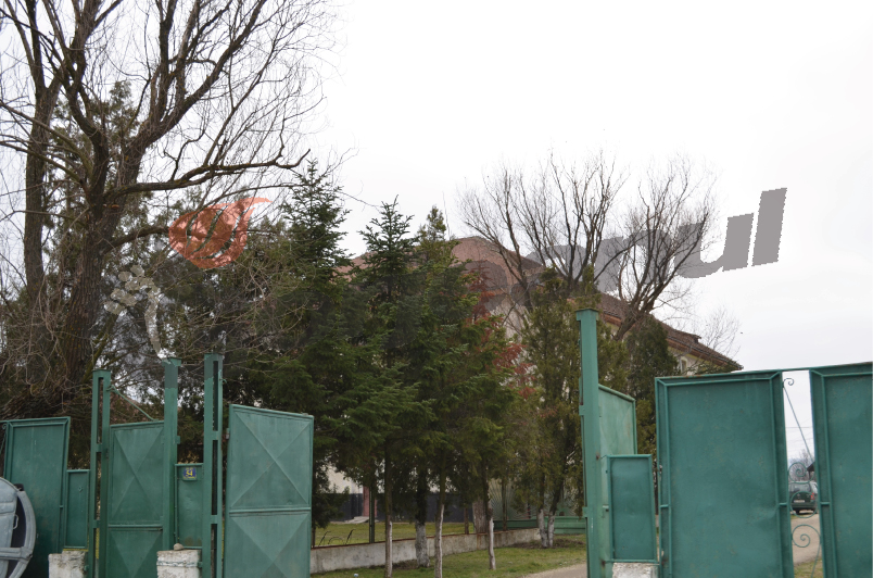 Peste 70 de bolnavi psihic, trataţi la Turceni