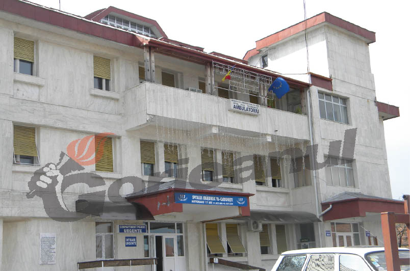 Căruţaş accidentat la Vladimir