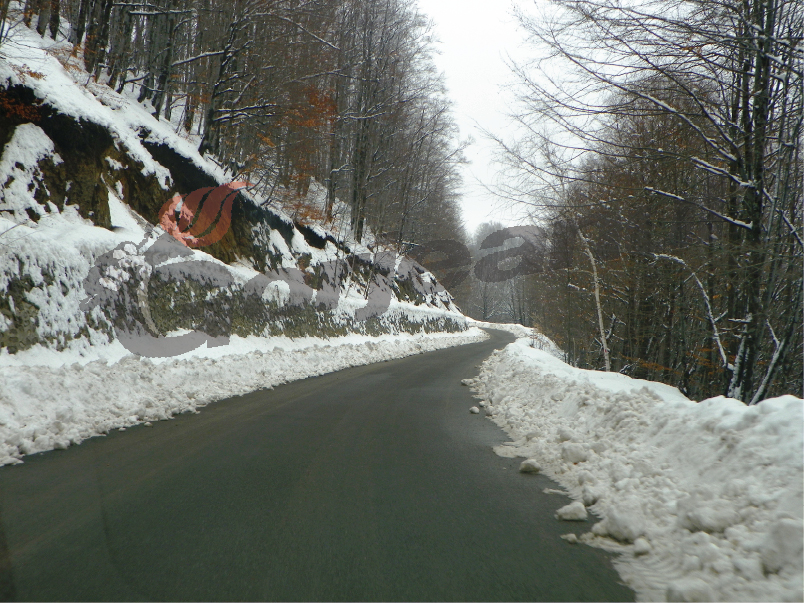 Prin lumea Carstului Gorjean