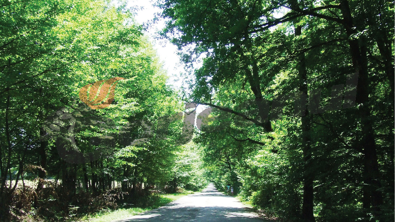 Sub poale de Vâlcan