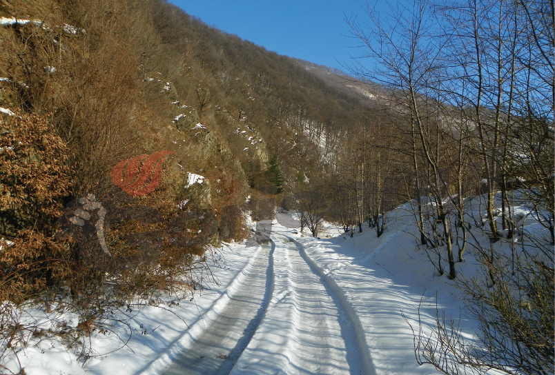 “Randonee”, pe Jiul de Sus