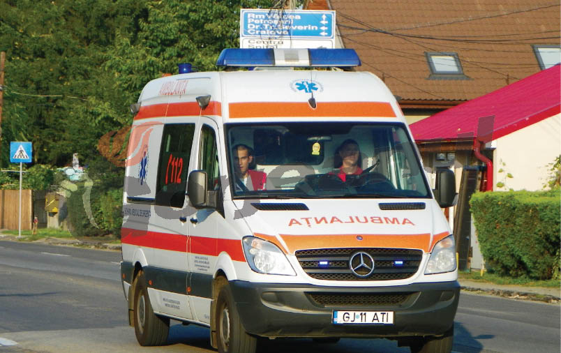 Accident din cauza unei căprioare la Târgu-Cărbuneşti