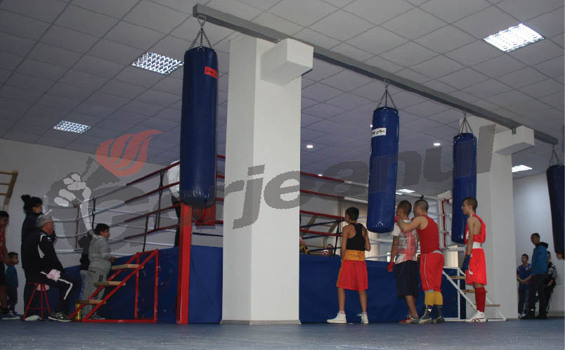 Târgu Jiul are o „casă a boxului”