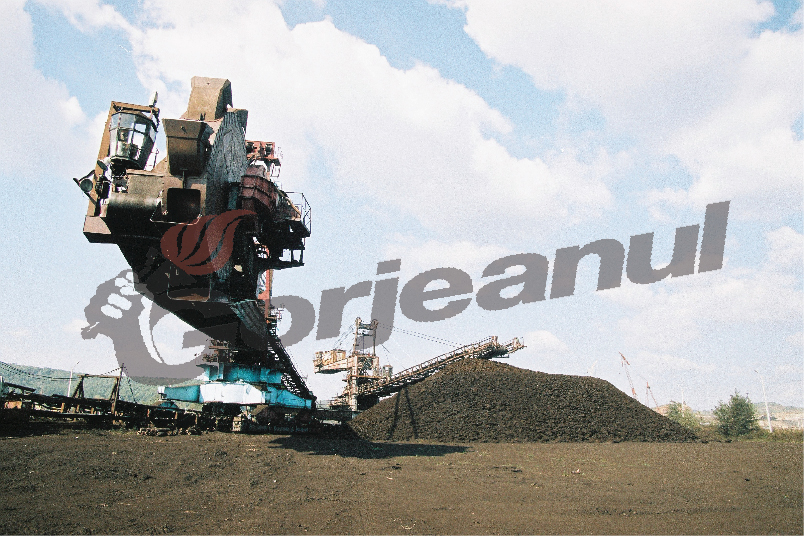 Angajaţi ai CEO, instruiţi la Rânca