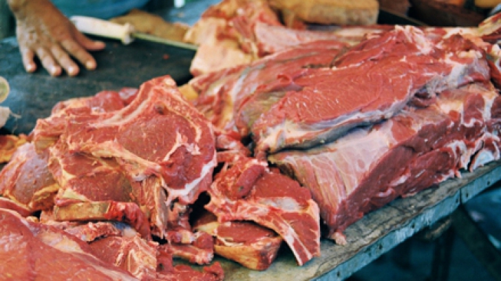 Porc cu trichineloză la Polata