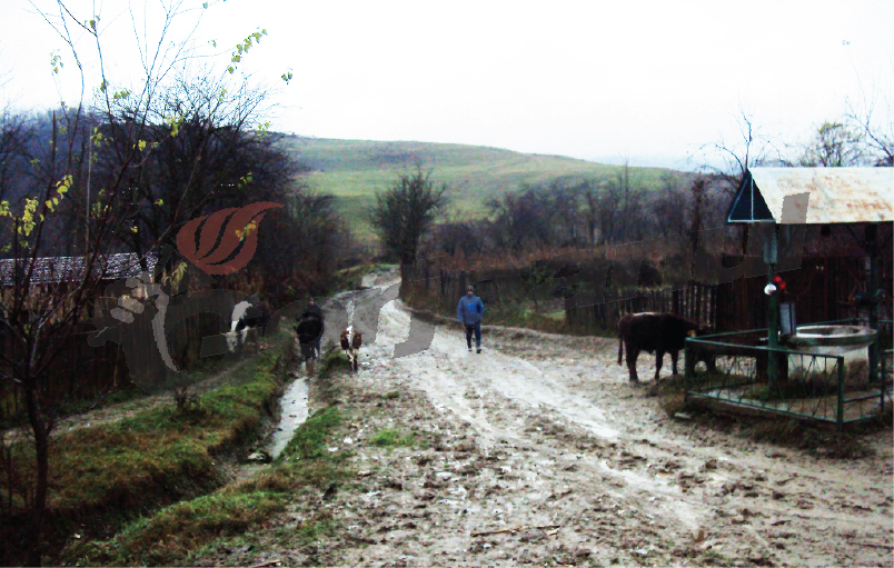 Acelaşi de 16 ani! Drumul gropilor la Brăneşti, 400 de familii afectate