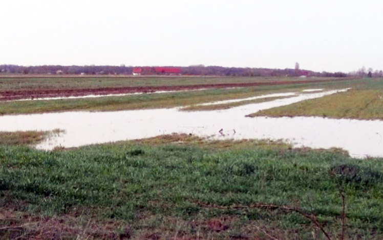 200 de hectare de teren agricol, inundate