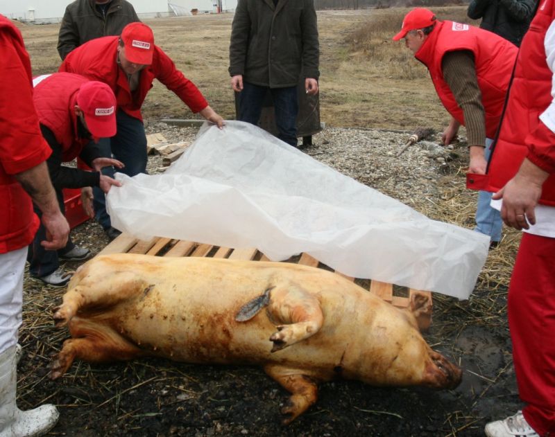 Un nou caz de trichineloză în Gorj!