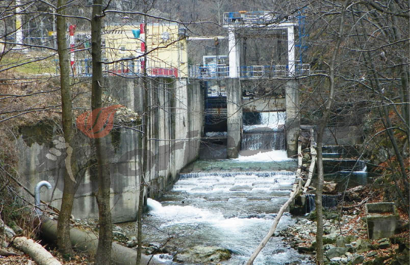 Şuşiţa Verde la început de an