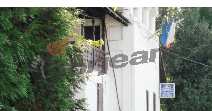 Program strategic de promovare a lui Brâncuşi