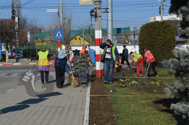 Înfrumuseţat cu 50 de mii de panseluţe!