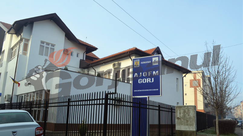 AJOFM lansează şapte cursuri de calificare profesională